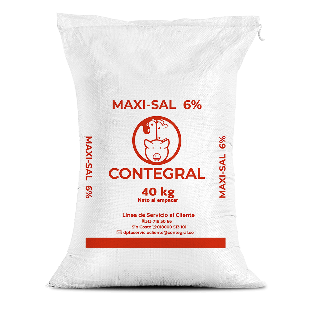 MAXI SAL X 40 KG