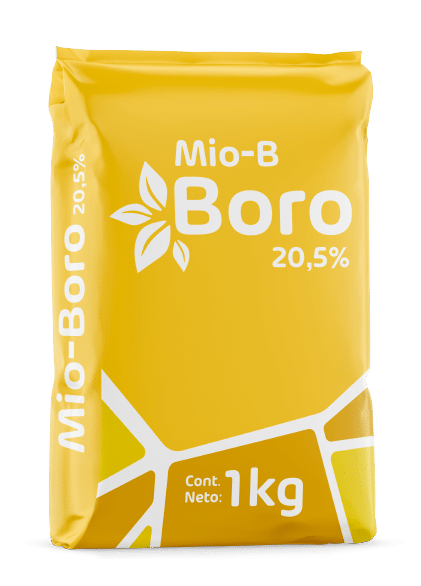 Mio-Boro *1 kilo