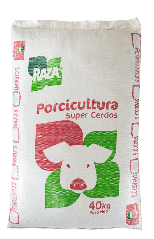 SUPER CERDO CEBA  X 40 RAZA
