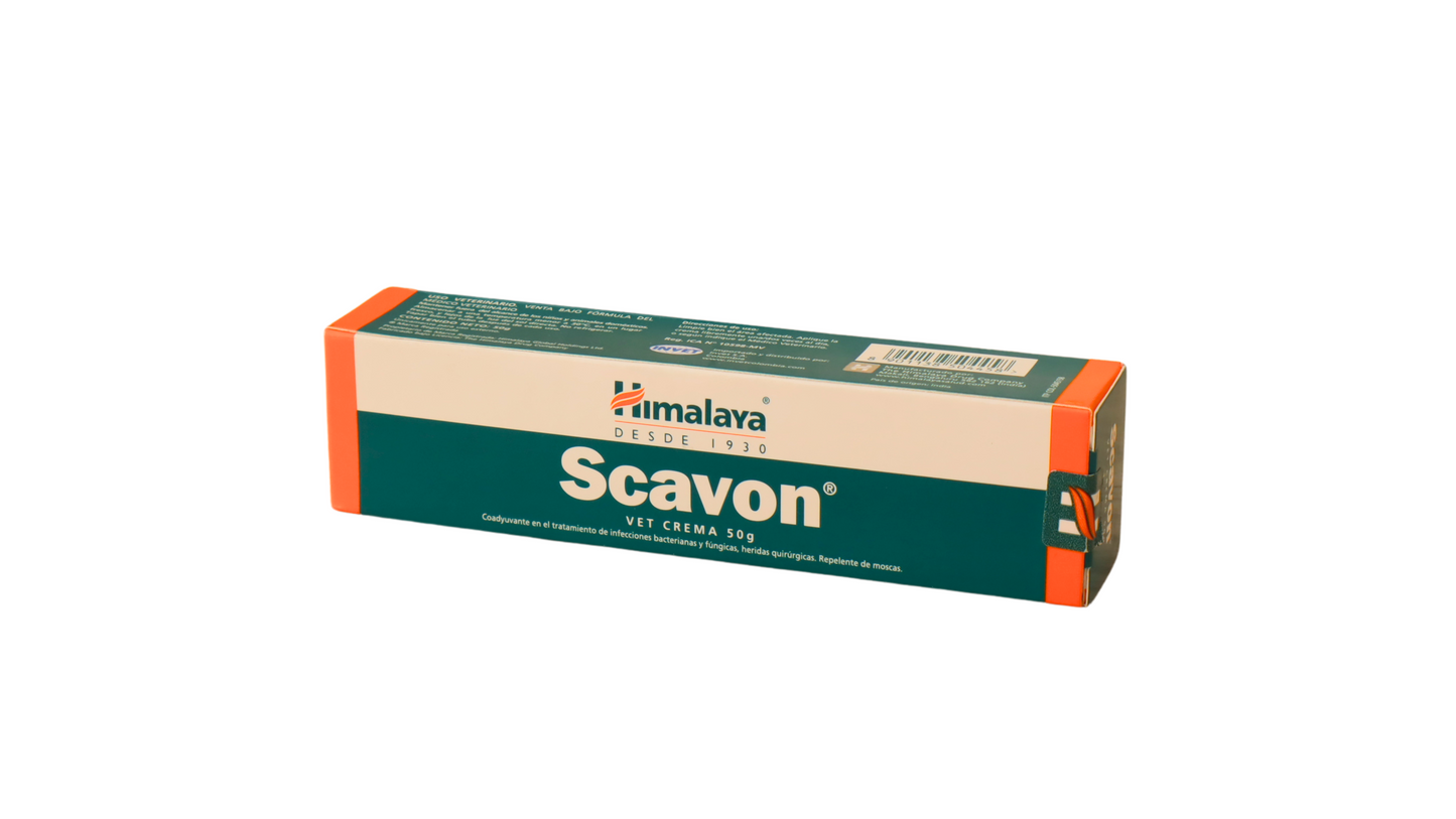 SCAVON CREMA 50 GR