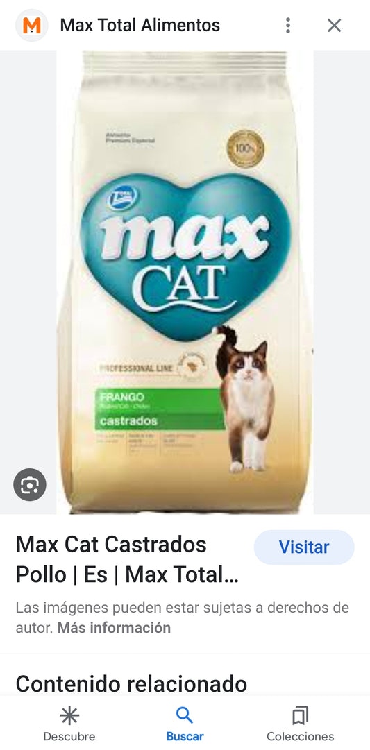 MAX CAT CASTRADOS