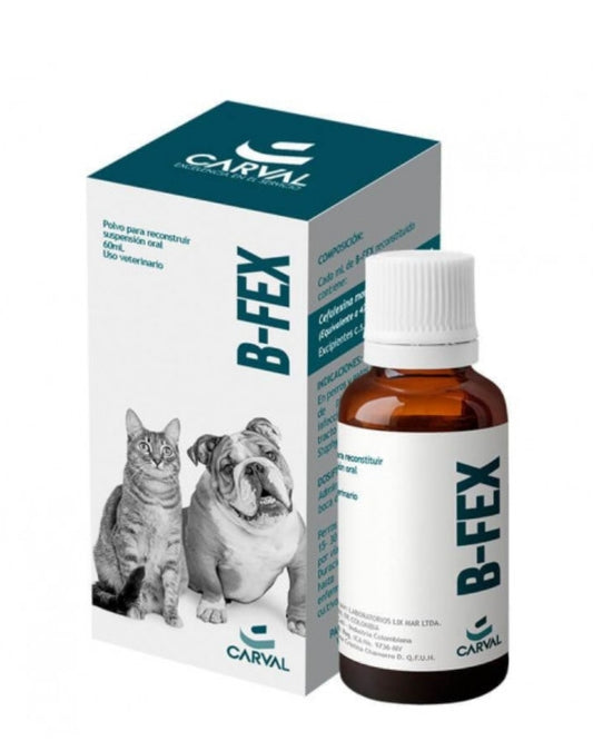 B-FEX FCO 60 ML (CEFALEXINA)