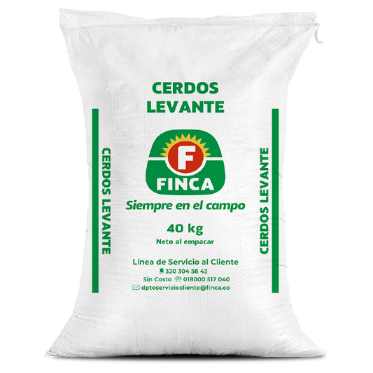 BAUERNHOFSCHWEINE LEVANTE 25-30