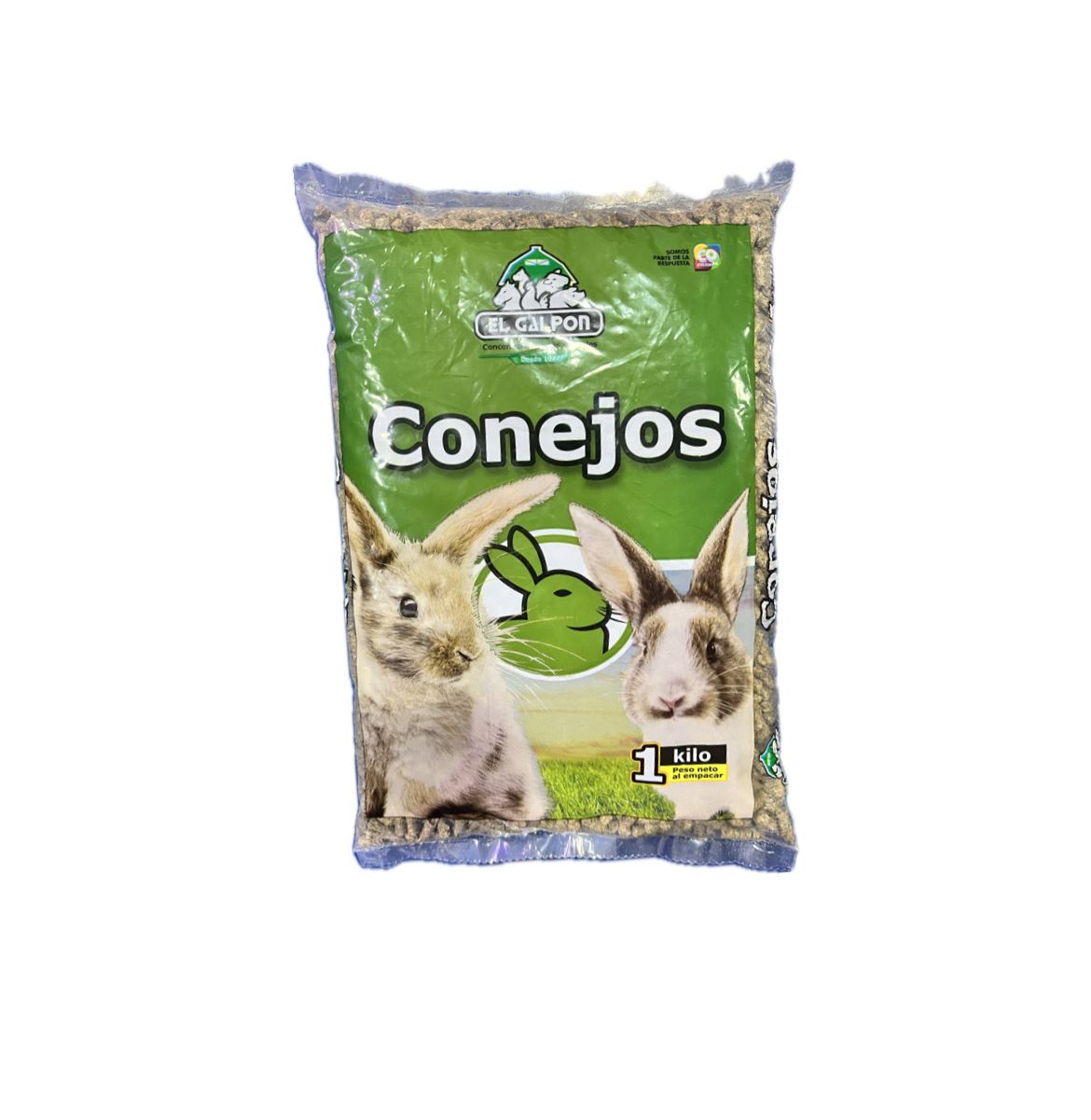 CONEJOS GALPON