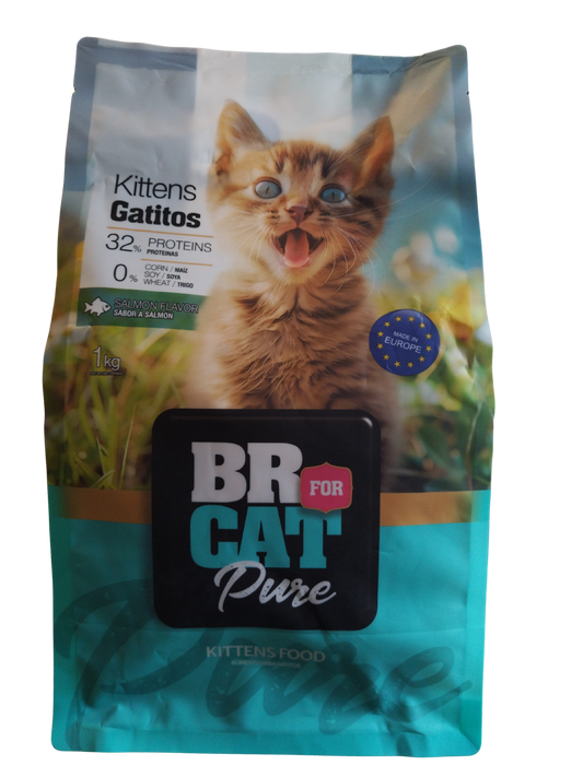 BR FOR CAT GATICOS SALMON