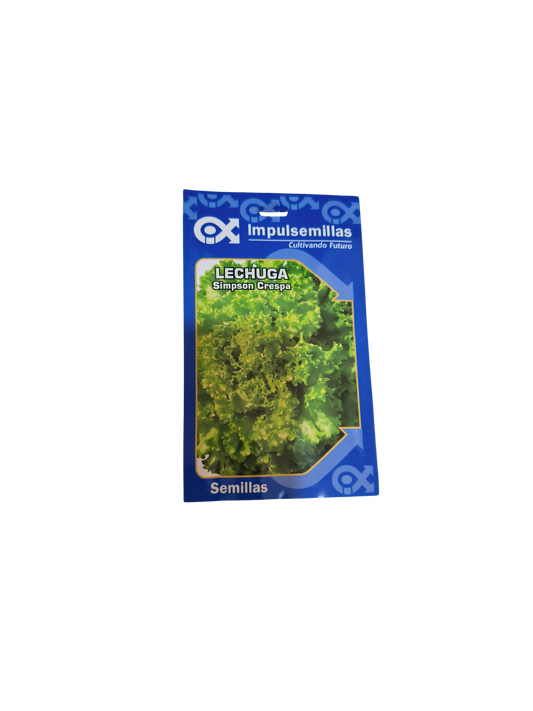 SEMILLA LECHUGA SIMPSON CRESPA