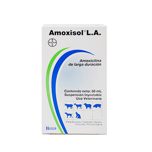 AMOXISOL LA * 50 ML