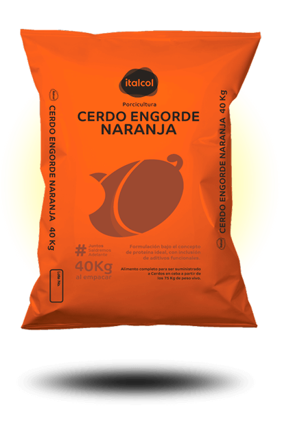 CERDO ENGORDE NARANJA ITALCOL