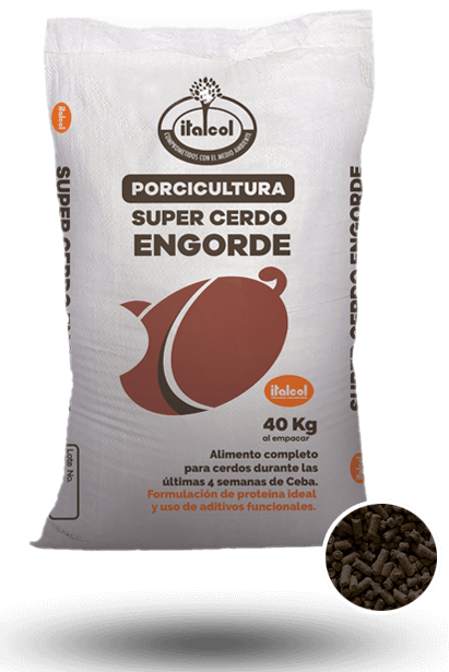 CERDO ENGORDE ITALCOL X 40