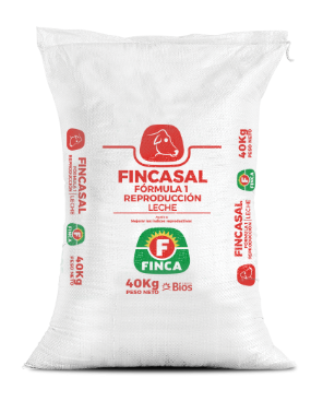 FINCASAL FORMULA 1 REPRODUCCION