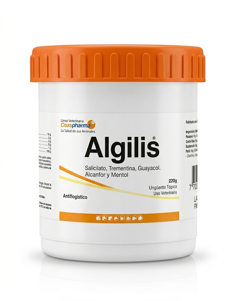 ALGILIS-SALBE X 350 GR (HEISSE SALBE)