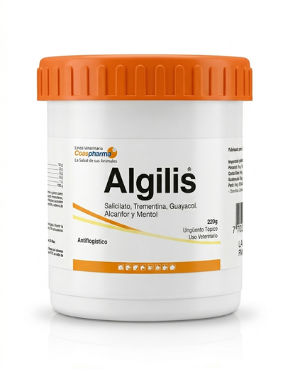 ALGILIS-SALBE X 350 GR (HEISSE SALBE)