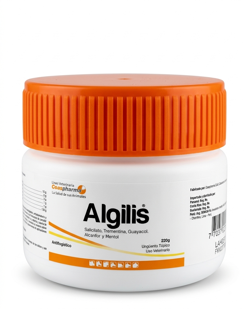 ALGILIS-SALBE X 350 GR (HEISSE SALBE)