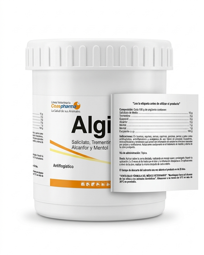 ALGILIS-SALBE X 350 GR (HEISSE SALBE)