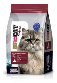 BR FOR CAT ADULTO CASTRADO ATÚN