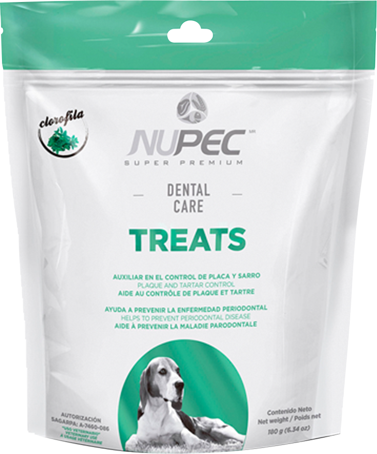 NUPEC DENTAL CARE X 180 GR