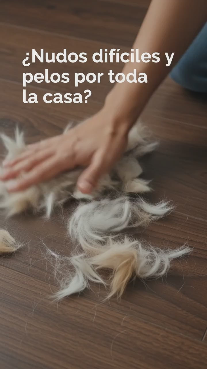 Cargar video: 