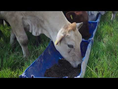 KAU Sostenimiento Peletizado× 40 kilos