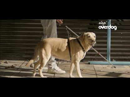 OVERDOG (PIPETA)