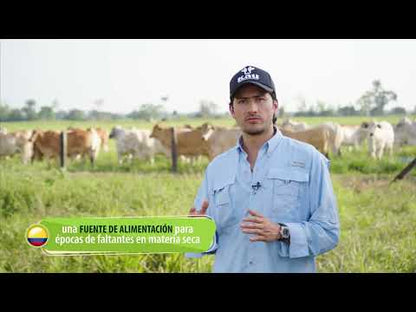 KAU forraje multipropósito X 40 kilos Pelet