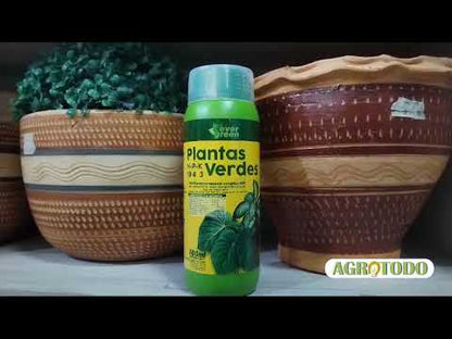 FORZA PASTILLAS 15 15 15 FCO X60