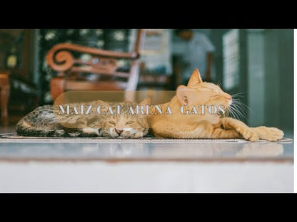 MAIZ CAT ARENA GATOS
