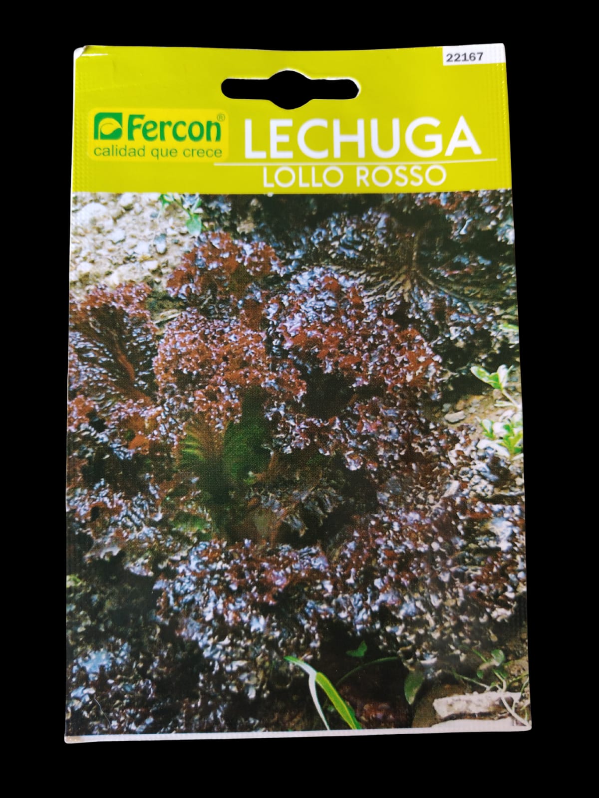LECHUGA LOLLO X2G FERCON