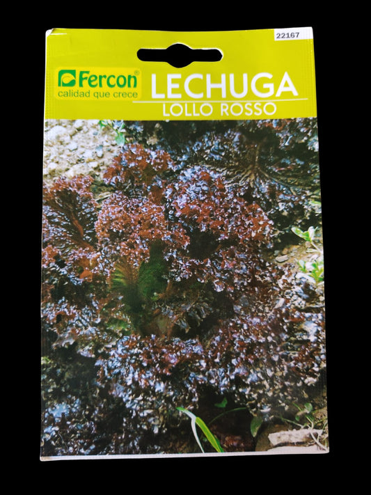 LECHUGA LOLLO X2G FERCON