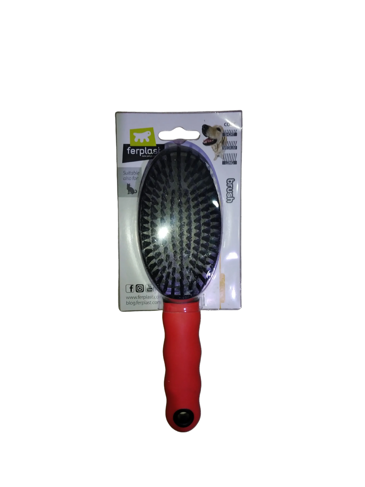 CEPILLO CERDAS PERRO 5924