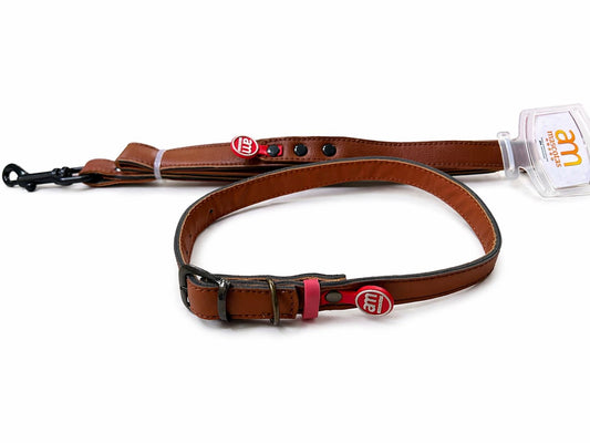 COLLAR Y CORREA BORDADO
