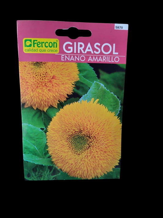 GIRASOL FERCON X0.8G