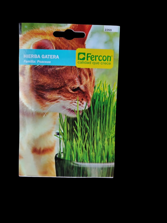 HIERBA GATERA X1G