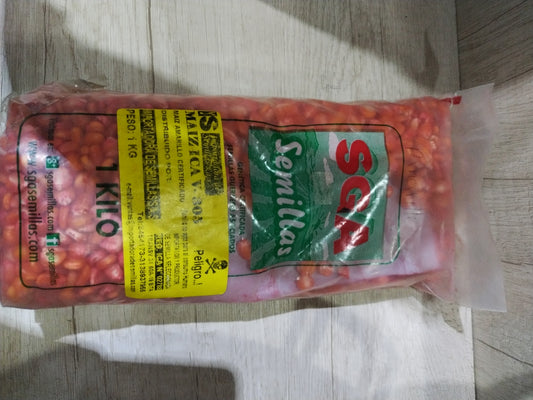 MAÍZ ICAV-305*KILO